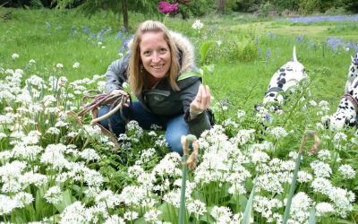 Wild Garlic Fermented Probiotic Pesto