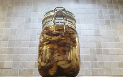 Fermented Garlic Mushrooms