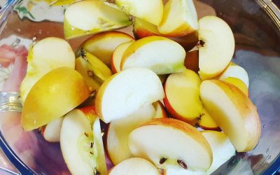 Raw Probiotic Apple Cider Vinegar