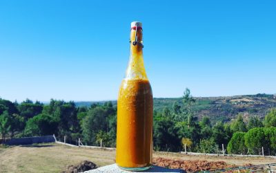 Fermented Chilli Sauce Recipe