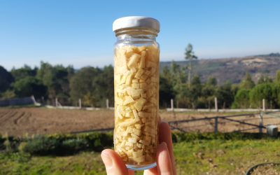 Fermented Ginger Recipe