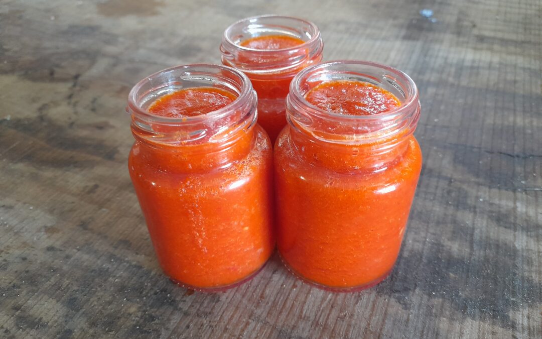 Fermented Orange Chilli Sauce