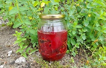 Slightly Spicy Pickled Beetroot Recipe