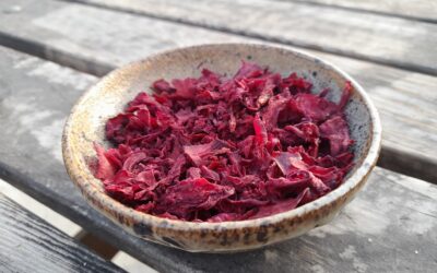 Dehydrated Fermented Foods