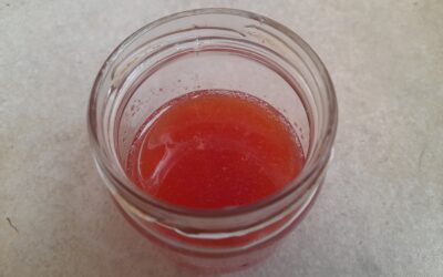 Quince Syrup Recipe