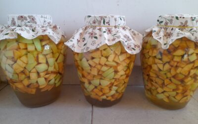 Probiotic Apple Cider Vinegar Recipe