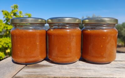 Homemade Tomato Ketchup Recipe