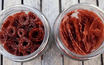 Fruit Leathers Recipe