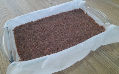 Pemmican Recipe