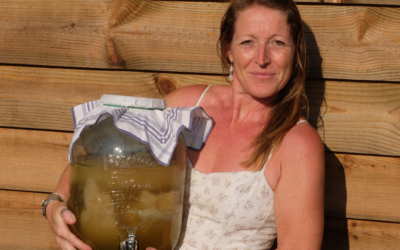 Grow Your Own Scoby