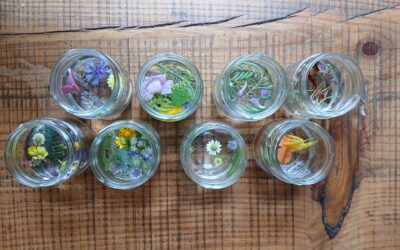 Returning to Nature with Flower / Life Essence Making