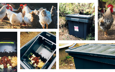 Free Chicken Protein