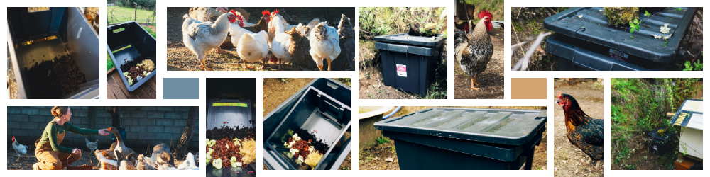 Free Chicken Protein