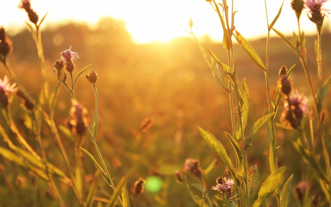 The Stages of Fuelling ourselves in the most natural way…